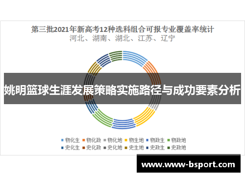 姚明篮球生涯发展策略实施路径与成功要素分析