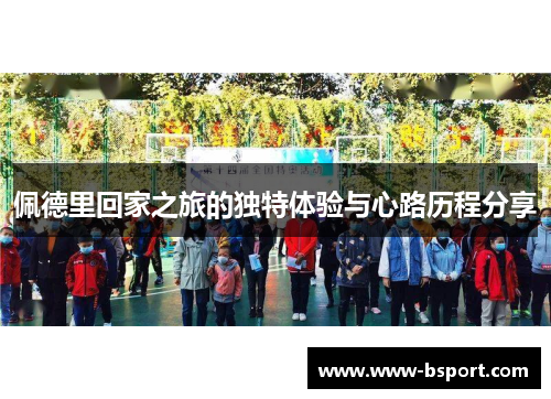 佩德里回家之旅的独特体验与心路历程分享