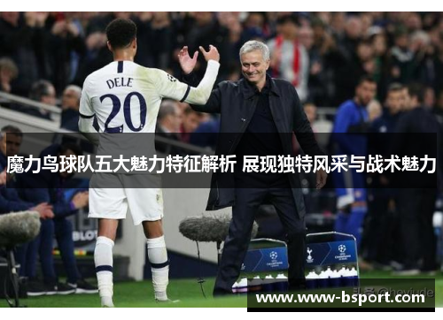 魔力鸟球队五大魅力特征解析 展现独特风采与战术魅力